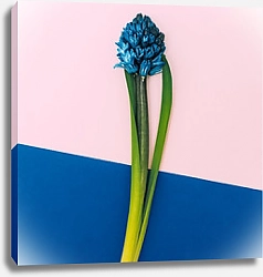 Постер Синий цветок на сине-розовом фоне