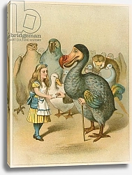 Постер Тениель Джон The Dodo solemnly presented the thimble from Alice's Adventures in Wonderland
