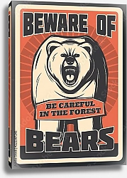 Постер Остерегайтесь медведей