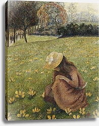 Постер Писсарро Люсьен Crocuses; Les Crocus, 1891