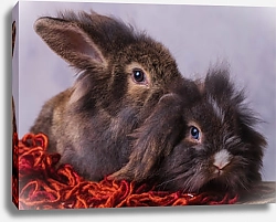Постер Кролики в красных нитках
