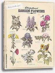 Постер Плакат флориста с 9 садовыми цветами