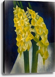Постер Гертлер Марк Daffodils, 1954