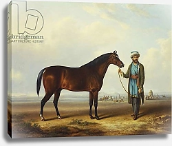 Постер Тауне Чарльз An Arab stallion held by a groom with an encampment beyond