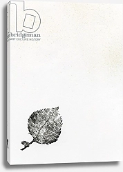 Постер Ларсон Белла (совр) Leaf {Fay-erie Dust}, 2014