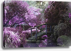 Постер Деревянный мост в розовых зарослях