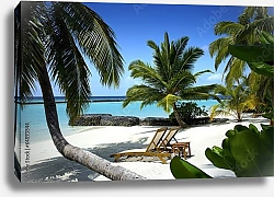 Постер Красивый пляж на Мальдивах