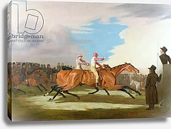 Постер Маршалл Бенджамин Match between Colonel Henry Mellish's 'Eagle' and Sir Charles Bunbury's 'Eleanor', Newmarket, 31st October 1804