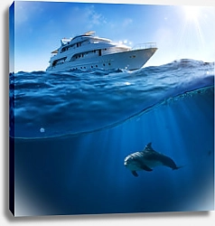 Постер Дельфин и яхта