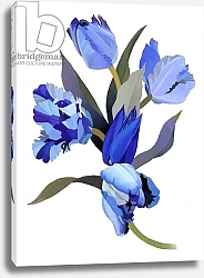Постер Хируёки Исутзу (совр) Blue tulip