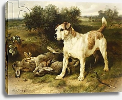 Постер Хант Уолтер A Fox Terrier with the Day's Bag, 1888