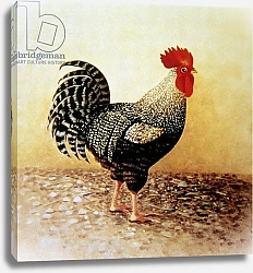 Постер Коффи Дори (совр) Speckled Rooster