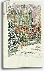 Постер Делеворис Лиллиан Front Garden in Heavy Snowstorm