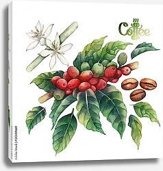 Постер Акварельные кофейные ягоды, цветы и зерна