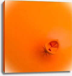 Постер Оранжевый воздушный шар