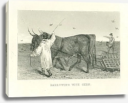 Постер Harrowing with Oxen 1