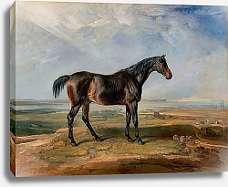 Постер Racehorse Standing in a Coastal Landscape an Estuary Beyond 1820