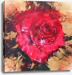 Постер Красная роза