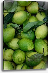Постер Зеленые лимоны