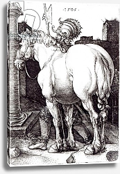 Постер Дюрер Альбрехт The Large Horse, 1509