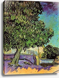 Постер Ван Гог Винсент (Vincent Van Gogh) Цветущий каштан