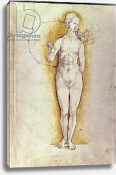 Постер Дюрер Альбрехт Female nude 1