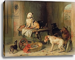 Постер Лэндсир Эдвин A Jack in Office, c.1833