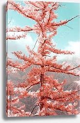 Постер Розовое дерево на фоне голубого неба
