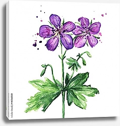Постер Фиолетовый дикий цветок