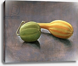 Постер Ливайн Томар Gourd and Lime, 1982