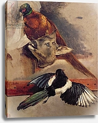 Постер Жерико Теодор Still Life of Game, c.1812-16
