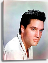 Постер Presley, Elvis 12