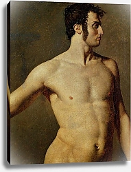 Постер Ингрес Джин Male Torso, c.1800