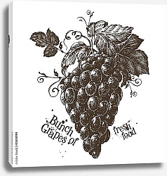 Постер Иллюстрация с гроздью винограда