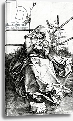 Постер Дюрер Альбрехт Virgin and Child seated on a grass bench, 1503