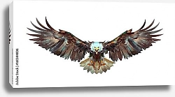 Постер Летящий орел на белом фоне