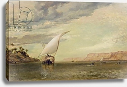 Постер Кук Эдвард On the Nile
