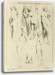 Постер Рубенс Петер (Pieter Paul Rubens) Studies of standing female nudes and a pair of feet