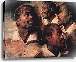 Постер Рубенс Петер (Pieter Paul Rubens) Studies of the Head of a Negro