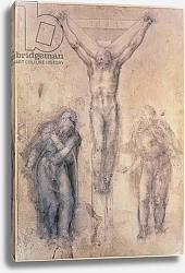 Постер Микеланджело (Michelangelo Buonarroti) Inv.1895-9-15-509 Recto W.81 Study for a Crucifixion