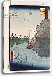 Постер Утагава Хирошиге (яп) Scattered Pine Along Tone River', from the series 'One Hundred Views of Famous Places in Edo'