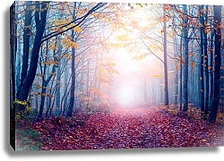 Постер Осень в туманном лесу с опавшими красными листьями