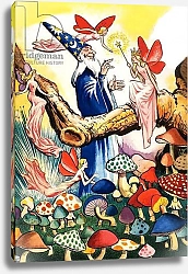 Постер Коэльо Эдуардо Wizard in the Mushroom Forest