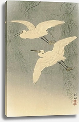 Постер Косон Охара Little Egrets in flight