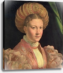 Постер Пармиджанино Portrait of a young woman, possibly Countess Gozzadini, c.1530