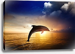 Постер Дельфин в море на закате