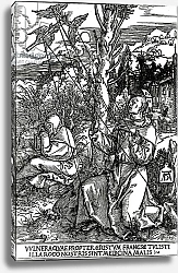 Постер Дюрер Альбрехт St. Francis receiving the Stigmata, c.1503-4
