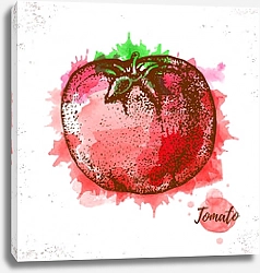 Постер Акварельный томатный эскиз