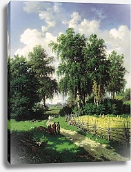 Постер Каменев Валериан Вид в окрестностях Гатчины. 1867