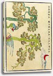 Постер Стоддард и К Chinese prints pl.30